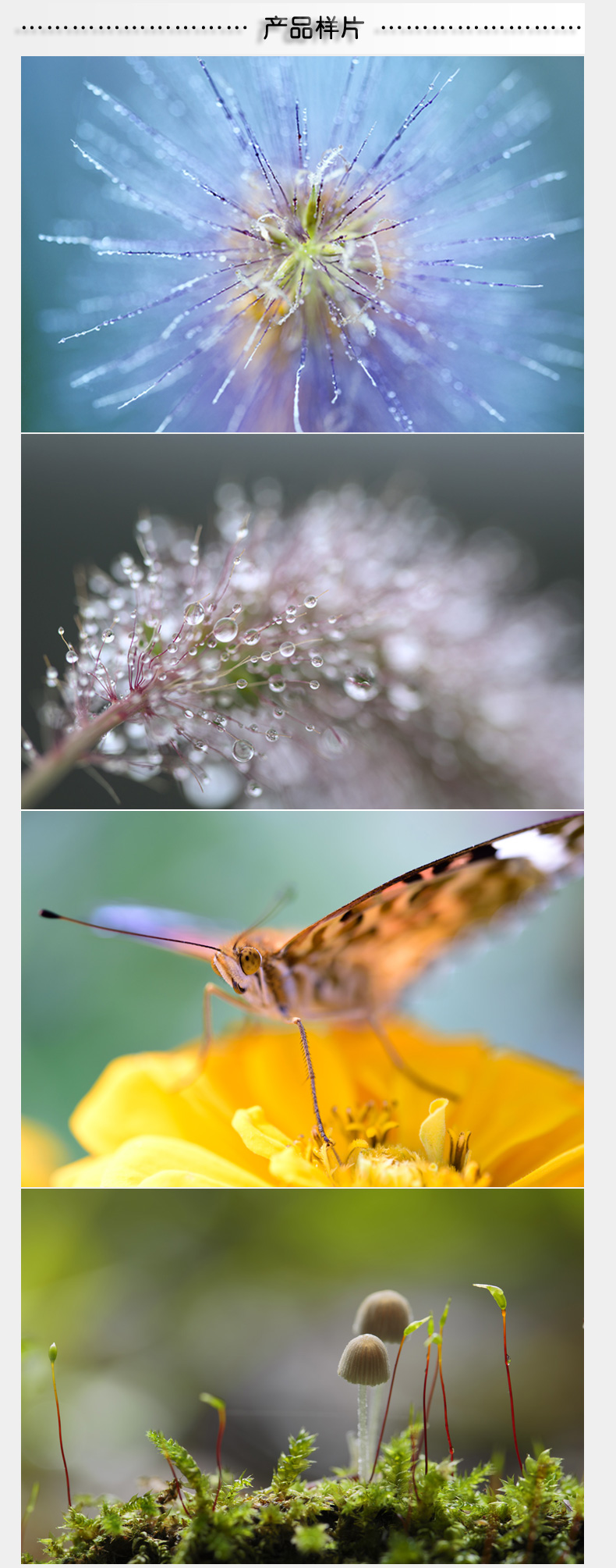 Tamron 90mm F2.8 Di MACRO macro 1: 1 VC chống rung ống kính USDF017 SLR lens sony full frame