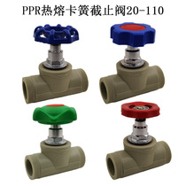 Hot selling PPR lifting snap spring stop valve 4 points 6 points 1 inch grey PPR Water pipe fitting valve switch water valve