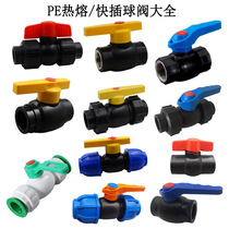 PE full plastic double live ball valve double inner wire steel core valve HDPE to water pipe fittings water stop switch