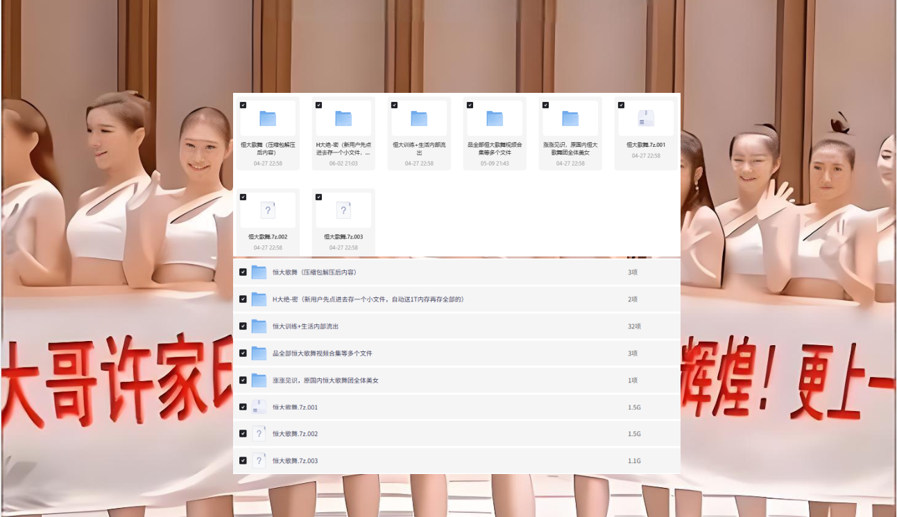 图片[2]-恒大歌舞团绝美视频经典国风舞蹈轻纯音乐跳舞表演高清无损【电商热销966】-暗冰资源网
