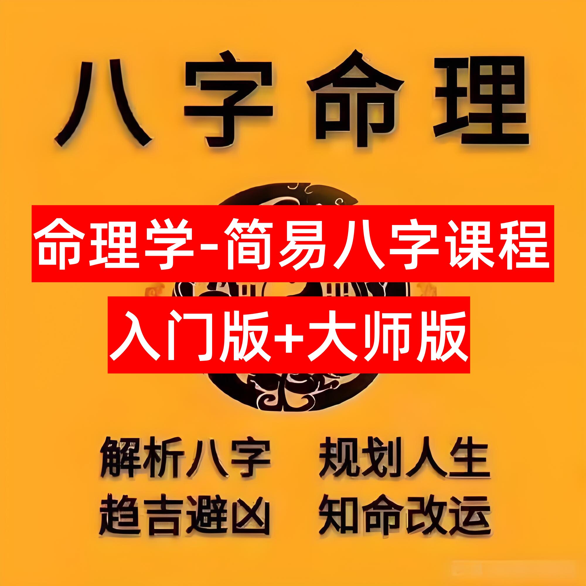 命理学课程-简易八字【入门版+大师版】从入门到精通教程【2.9GB】电商热销1258-欢迎访问本站
