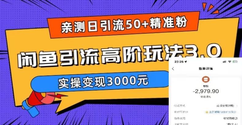 图片[1]-闲鱼引流实操教程，实测日引50+精准粉实操变现3000元-暗冰资源网