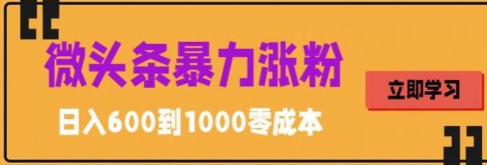 图片[1]-微头条搬运文案暴力涨粉技巧，简单0成本，日赚600-暗冰资源网