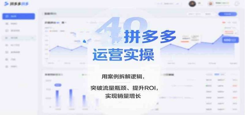 拼多多运营实操课，选品运营定价销量售后全套讲解，突破流量瓶颈-汇创资源网-一个提供最全的虚拟资源网站