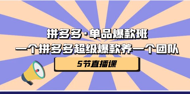 图片[1]-拼多多单品爆款打造课程（5节视频课）-暗冰资源网