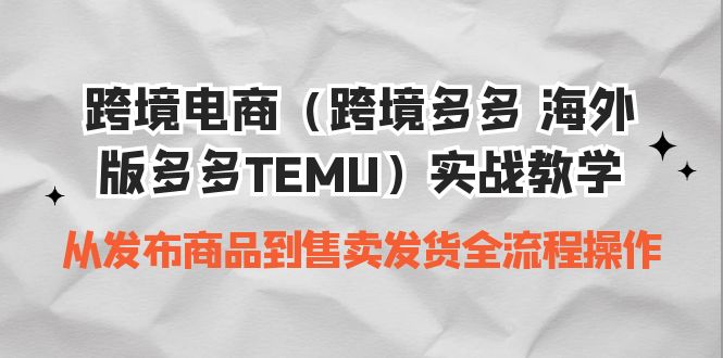 图片[1]-跨境多多TEMU全套实战教程-暗冰资源网