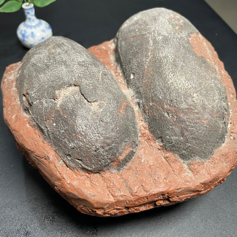 Simulated Dinosaur Egg Fossil, Double Dragon Craft Ornament, Paleontology Teaching Science Specimen, Jurassic Museum Display