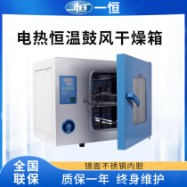 A constant DHG-9070 electric heating constant temperature blast drying oven oven laboratory 304 stainless steel food dryer
