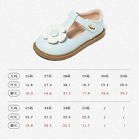 Арбуз красный 61209 Baby Blue