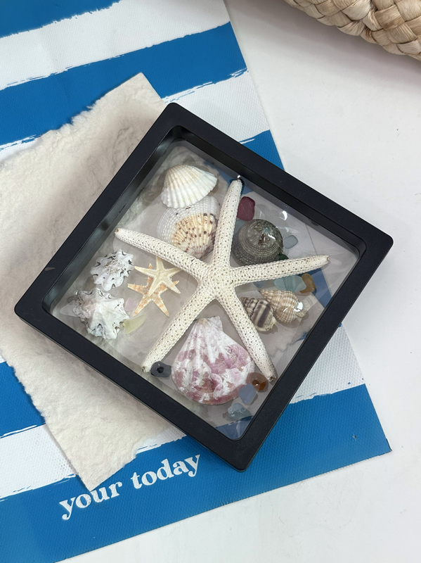 Natural Conch Shell Starfish Photo Shoot Style Ice Cream Bucket Set