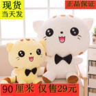 猫咪毛绒玩具可爱布玩偶娃娃抱抱熊公仔大号超大睡觉抱枕床上女C