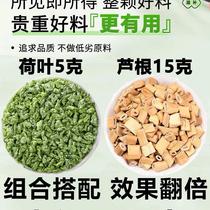 Lotus leaf and reed root application selected high-quality lotus leaf 5g reed root 15gg Chinese medicinal materials boiled water for tea independent packaging