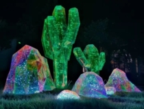 Laser Luminous Cactus Props Phantom Wind Windows Showcase of Decorative Mall DP Shop Beauty Chen Scene Pendulum