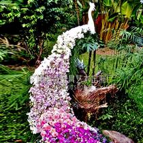 Spring Labor Day mall opening beauty Chens new product launch stage Decorative Floral Styling Peacock Sculpture