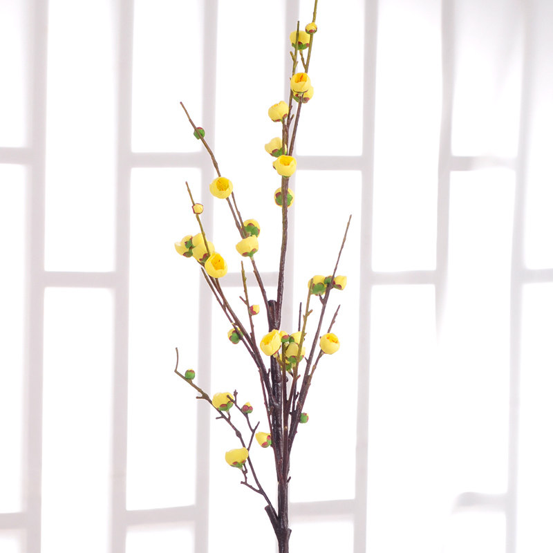 ����õ���һ�����ٻ���