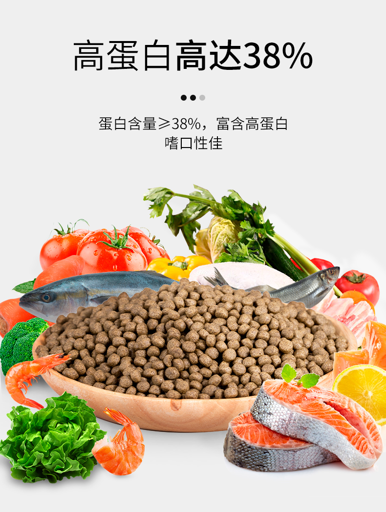 Berbonney Tortoise Grain Stone Gold Money Tortoise Tortoise Tortoise South Stone Turtle South Stone Tortoise High Protein Universal Turtle Feed