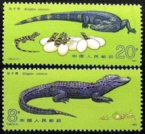 (Icing On The Cake) T85 Yangko Avocado Original Glue Total Stamps Collection Philately