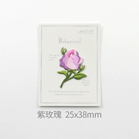 Фиолетовая роза