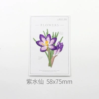 Пурпурная набережная