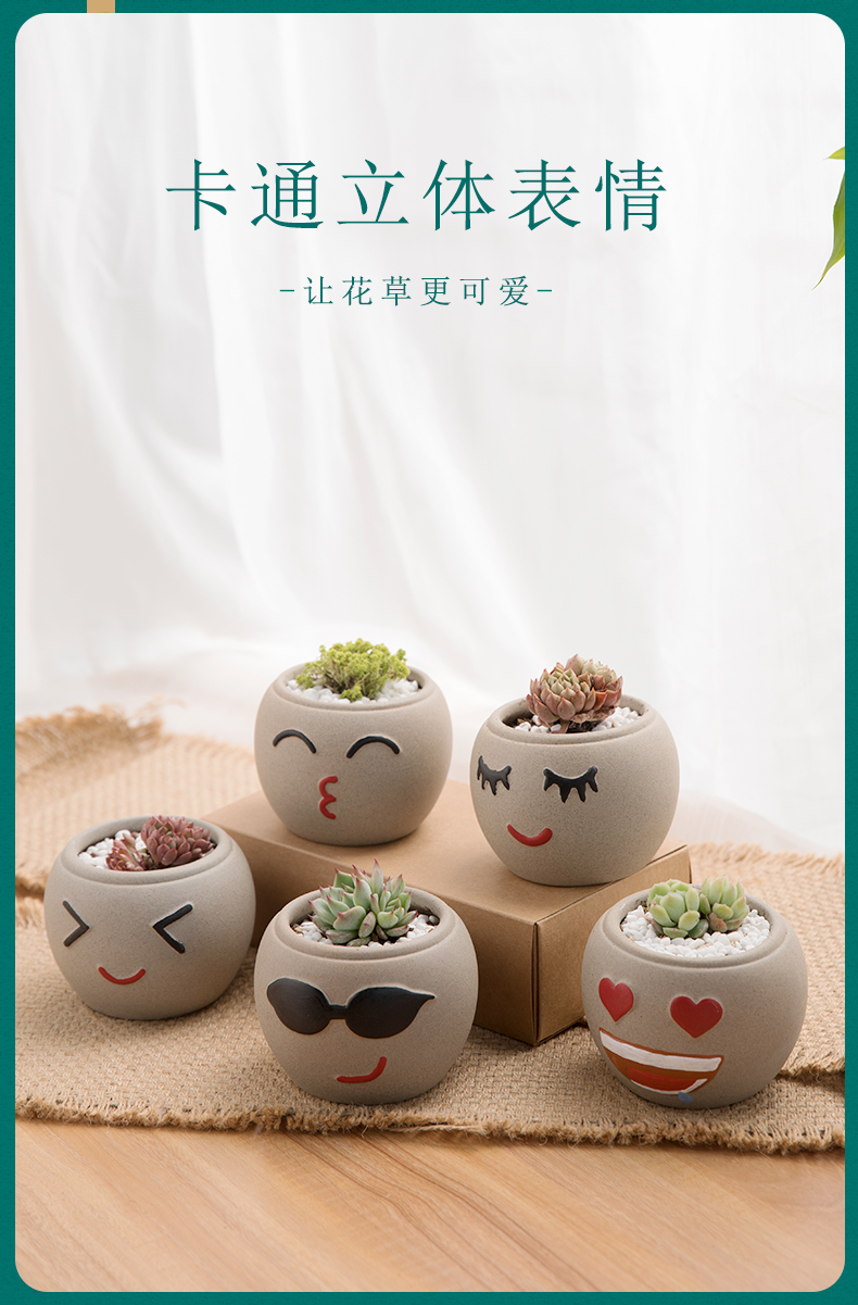 Days yi jingdezhen expression package ceramic flowerpot more meat creative move manual lovely through pockets TaoSu firing