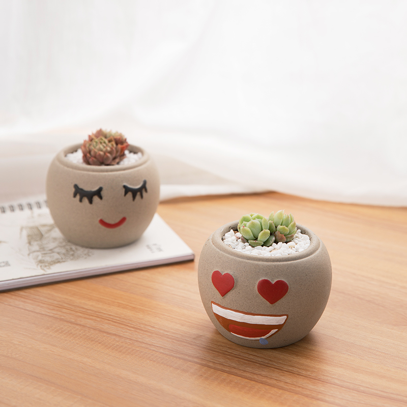 Days yi jingdezhen expression package ceramic flowerpot more meat creative move manual lovely through pockets TaoSu firing