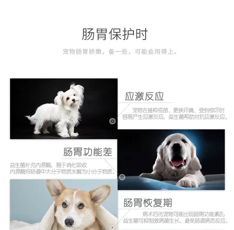 Con vượn yêu quý Khang Khang nguồn sinh học 24 túi Teddy điều hòa thú cưng nôn mửa tiêu chảy mèo tiêu chảy - Cat / Dog Health bổ sung sữa bột cho mèo sơ sinh	