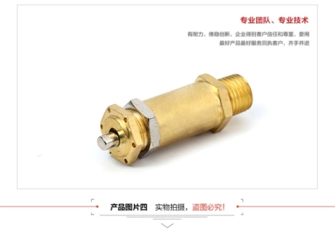 SNS Shenchi Dụng cụ khí nén Van an toàn Van giảm áp tác động trực tiếp Dòng BV đầy đủ - Công cụ điện khí nén bình tích áp khí nén