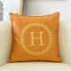 Orange (вышивка в стиле H)