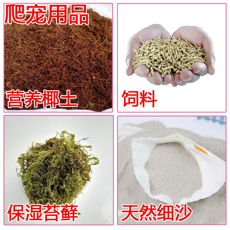 Climbing pet supplies Daquan nutritious coconut soil feed natural fine sand calcium powder moisturizing moss white jade snail pet