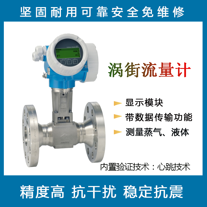 E H F 200 vortex street mass flowmeter