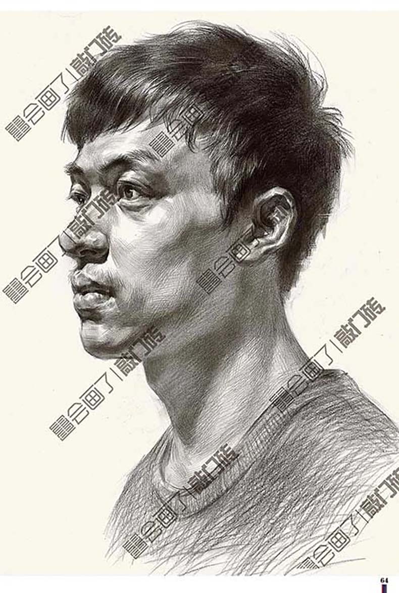 对照临摹卡石膏头像 2023敲门砖头骨肌肉局部五官人物石膏像临摹范本美术高考联考教材教程画册书籍