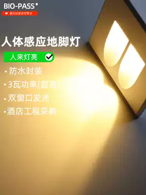 BIO-PASS new waterproof outdoor outdoor infrared induction footlamp with light control double window super bright garden lamp