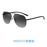 N6759 N06P Поляризатор серого цвета с глянцевой черной рамкой [Flick TR Temple]