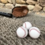 Shibalong Bóng Chày Bóng Mềm Bóng Mềm Hardball Rắn Bóng Chày Con Trò Chơi Đào Tạo Bóng Chày Softball Đào Tạo 	mua gậy bóng chày ở hà nội