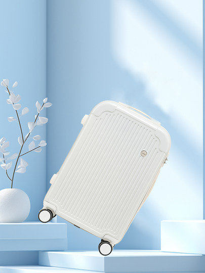 2025 New Style Luggage Ins Popular Small Suitcase for Women 20inch Student Password Lock Travel Suitcase Trolley Case for Men