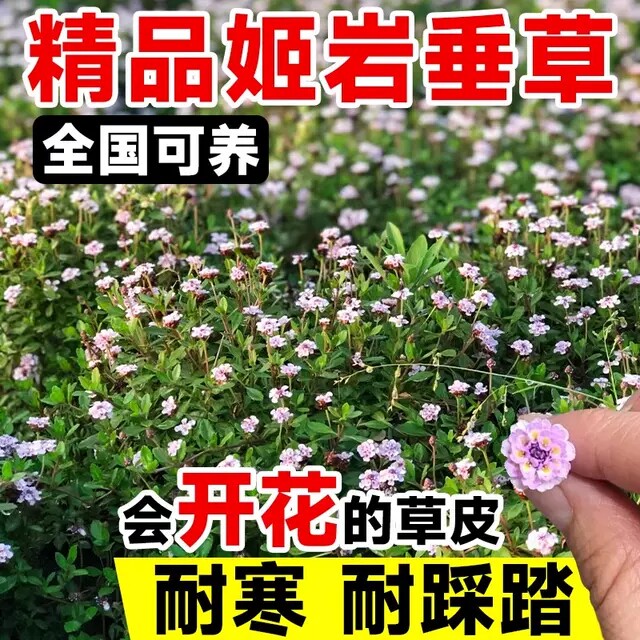 铺面植物园的LOGO