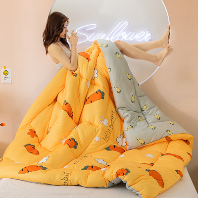 【80*100cm】水洗棉空调被