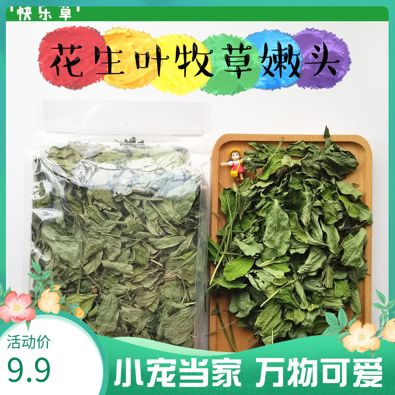 Patron Peanut Leaf Pasture Grass Relieving Pleasure Grass Nourishment Supplement Protection Heart Rabbit Dutch pig health care