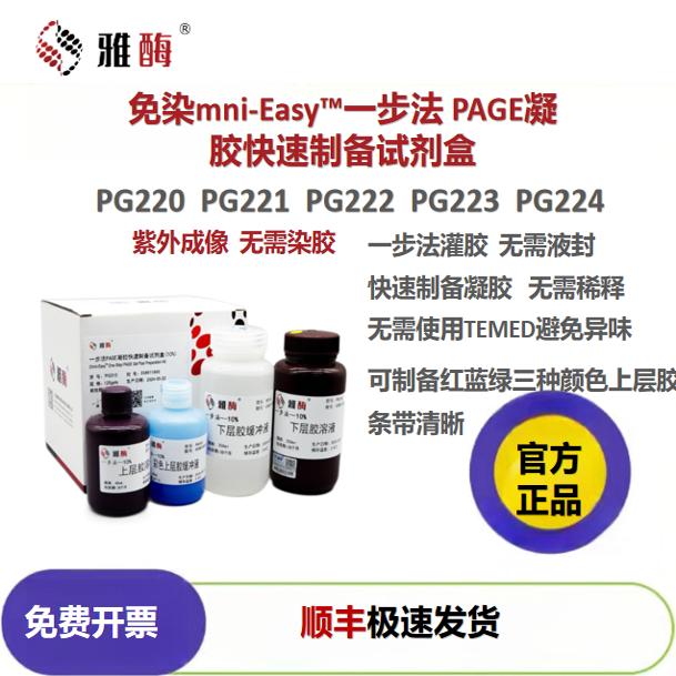 雅酶免染 Omni-Easy?一步法PAGE凝胶快速制备试剂盒PG220/PG221