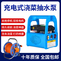 Small rechargeable pump watering artifact irrigation machine pastoral vegetable field watering vegetables electric outdoor agricultural pump