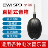 EWI SP3 Mini Yajia Direct Plug -в маленькой динамике