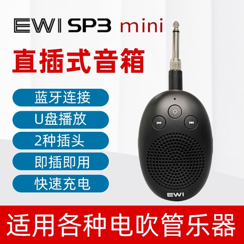 EWI SP3 Mini Yajia Direct Plug -в маленькой динамике