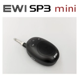 EWI SP3 Mini Yajia Direct Plug -в маленькой динамике