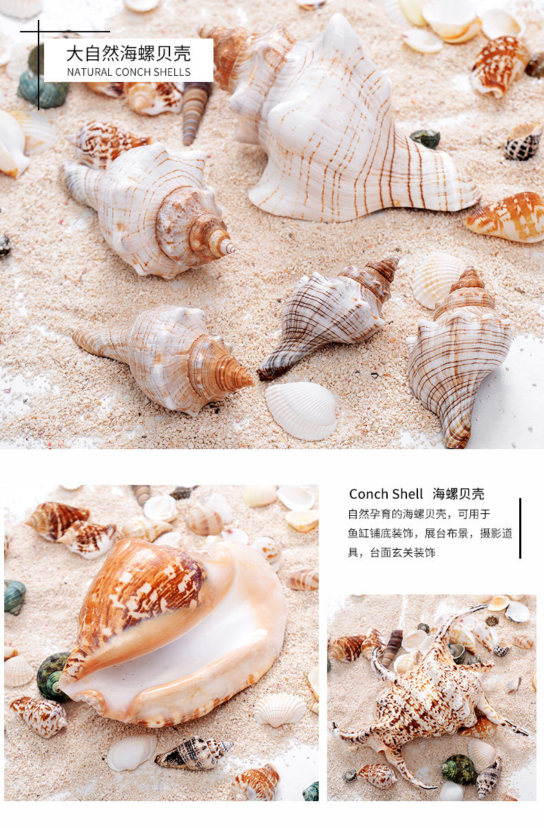 Red Spin Snail_01.jpg