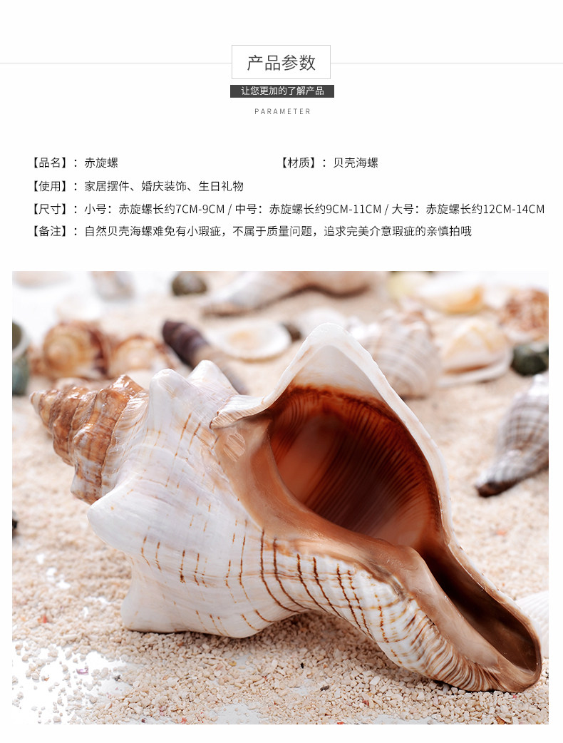 Red Rotor Snail_03.jpg