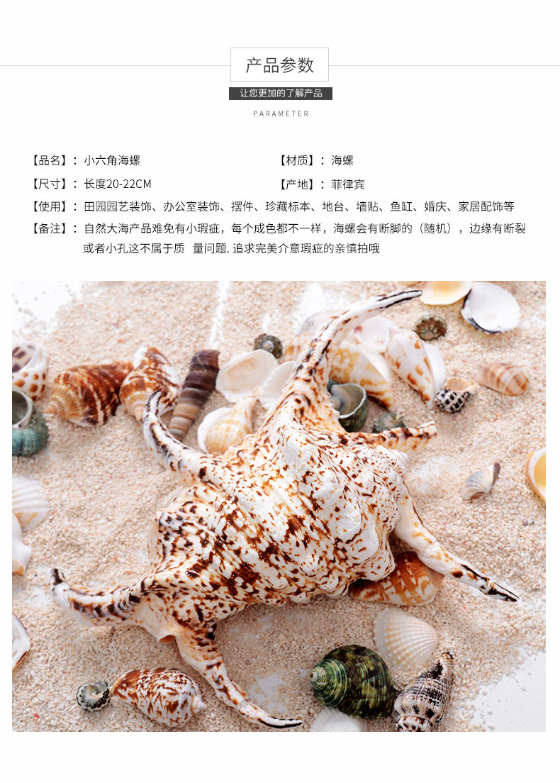 Hexagonal Snail_03.jpg