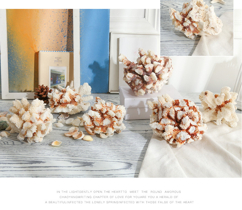 Coral Conch Mix_09.jpg
