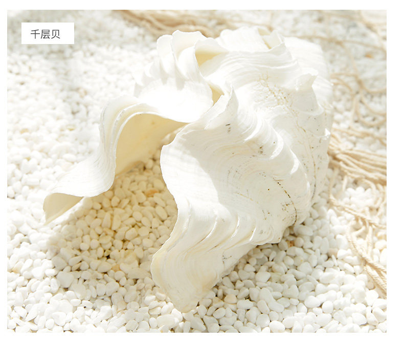 Pearl Snail_14.jpg