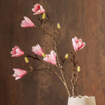 Simulation of Magnolia single fake flower silk flower living room bedroom coffee table ornaments kapok bouquet Magnolia silk flower