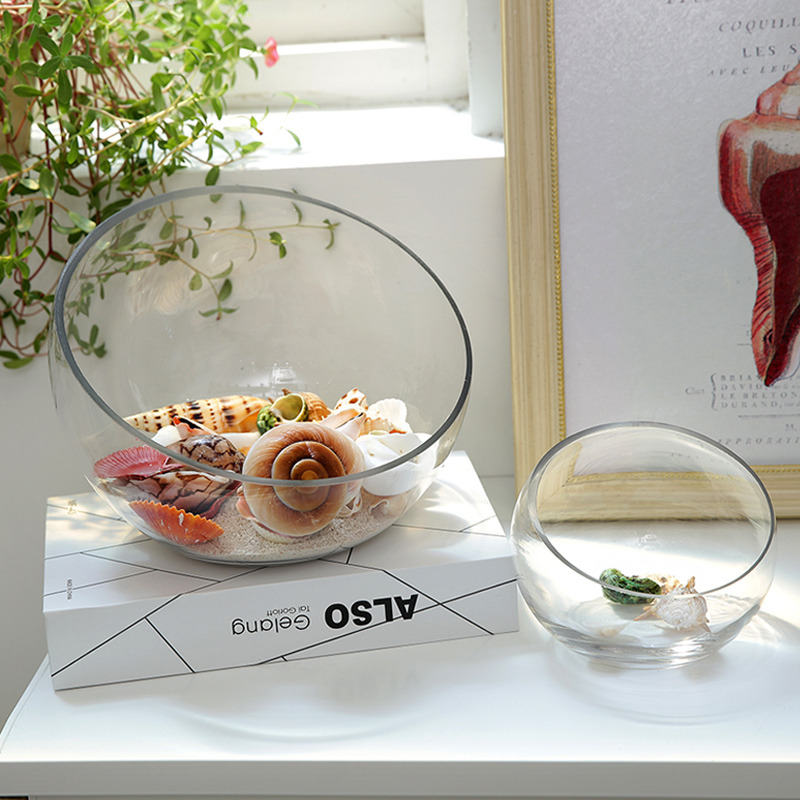 Nordic Mediterranean Coral Shell Vase Creative Combination Bowl Lotus Duckweed Slanted Mouth Transparent Hydroponic Glass Vase